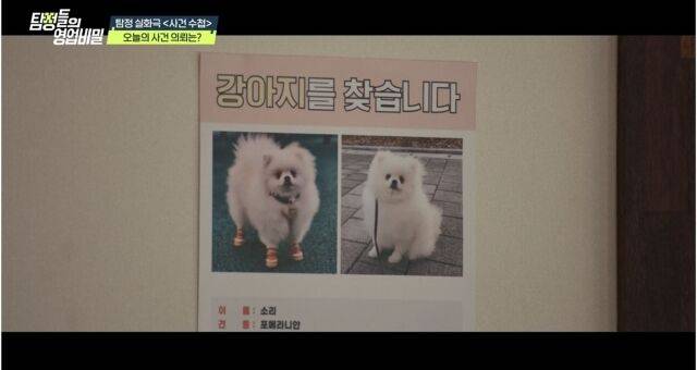 '영엽비밀'/채널A