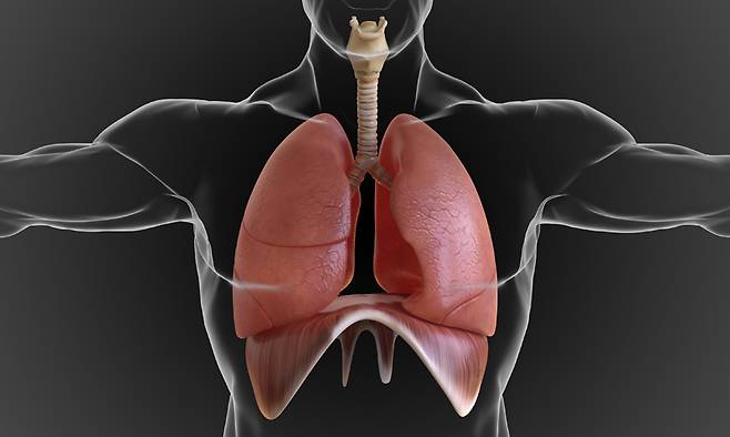 사진=게티이미지뱅크