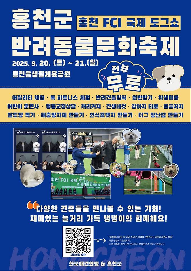 홍천군 도그쇼
