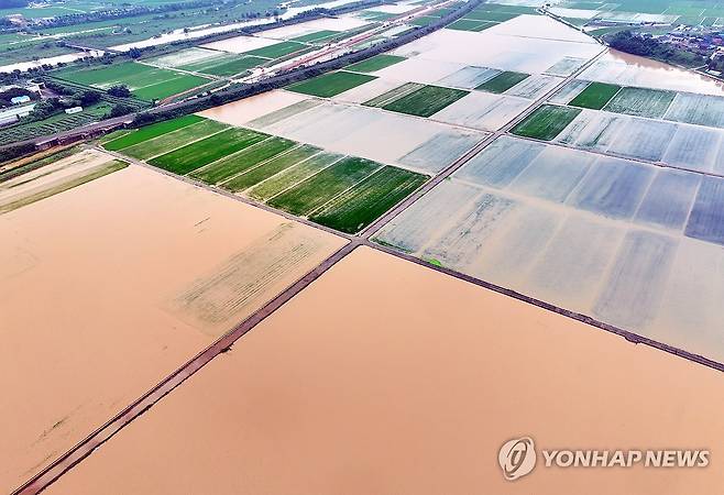 흙탕물에 잠긴 함평 농경지 (함평=연합뉴스) 정다움 기자 = 지난달 4일 오전 전남 함평군 엄다면 일대 농경지가 빗물에 잠겨 있다. 함평에는 호우 특보가 발효된 전날 하루에만 170여㎜의 비가 내렸다. 2025.8.4 daum@yna.co.kr