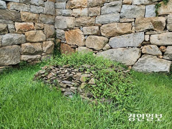 선원사지에서 출토된 기와편을 쌓아둔 무더기. 2025.9.1 /정진오기자 schild@kyeongin.com