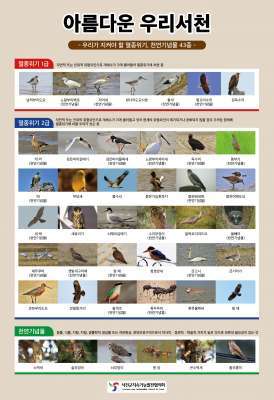 서천의 멸종위기종 및 천연기념물 포스터
