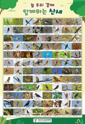 서천군 산새 포스터