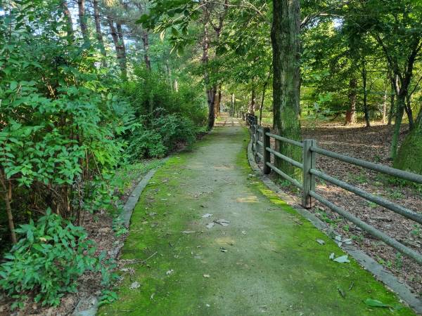경북산림환경연구원 옆에 조성된 '동남산 가는 길'
