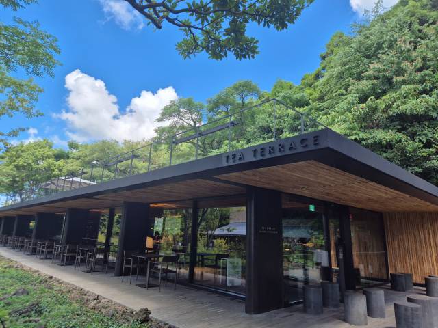 오설록 제주 티뮤지엄 내 '말차 누들바' 전경/사진=김아름 기자 armijjang@