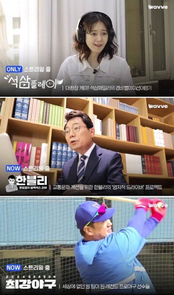 ⓒ먼슬리 웨이브