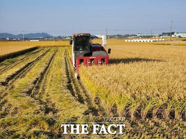 정부가 올해 쌀 45만톤과 콩 6만톤을 사들여 비축한다./더팩트DB