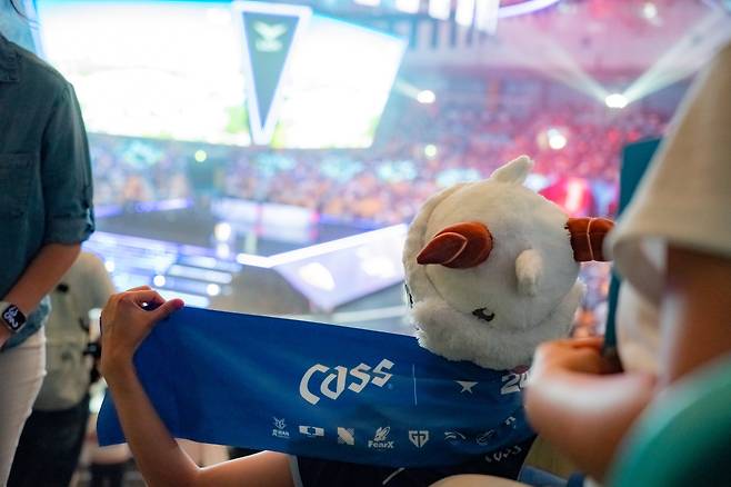 지난해 LCK 스프링 파이널 현장에서 한 팬이 '카스(Cass)'가 쓰여진 응원 타월을 들고 있다./오비맥주 제공