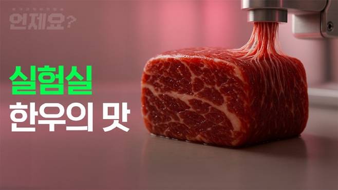 본격과학예언방송 언제요 5화 - 소고기 배양육 편