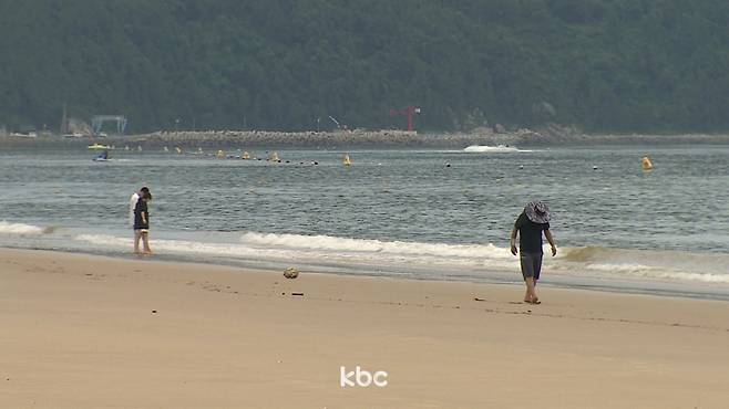 ▲해수욕장 자료이미지