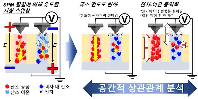 연구과정 개요. KAIST제공