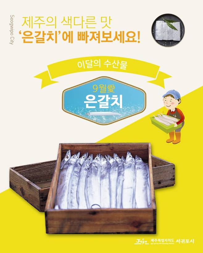 은갈치 ⓒ서귀포시 제공