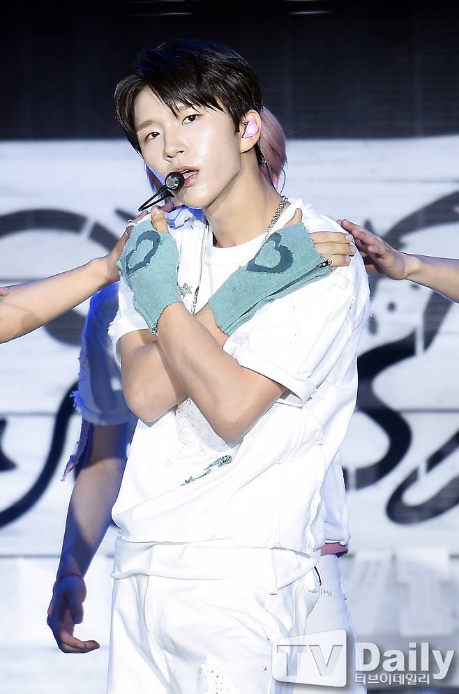 티브이데일리 포토