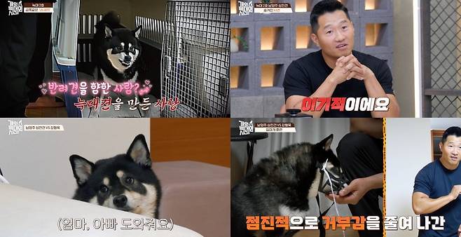 사진=채널A