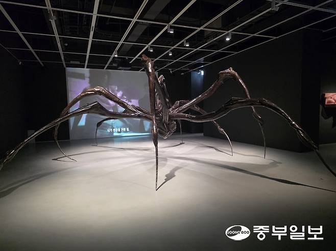 루이즈 부르주아의 작품 '웅크린 거미'. 이준도기자
