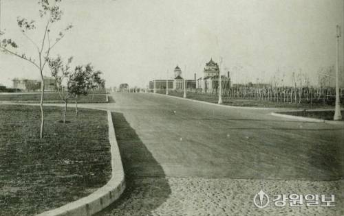 1937년의 신민대가