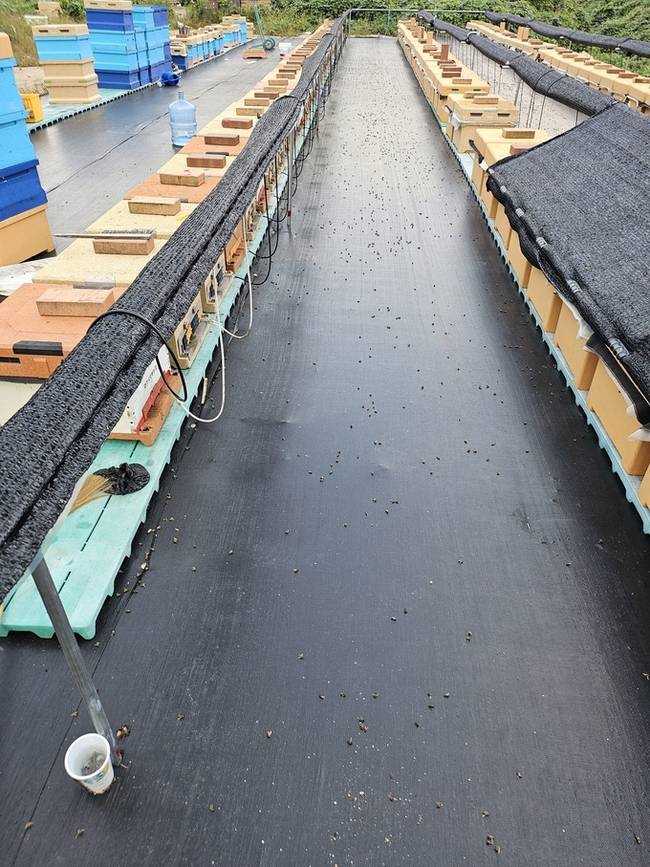 ▲ 정 지부장이 대표로 있는 '경주허니벌꿀' 전경