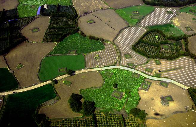 부모님들의 땀과 눈물로 아로새긴 삶의 터전들. 사진=강정효