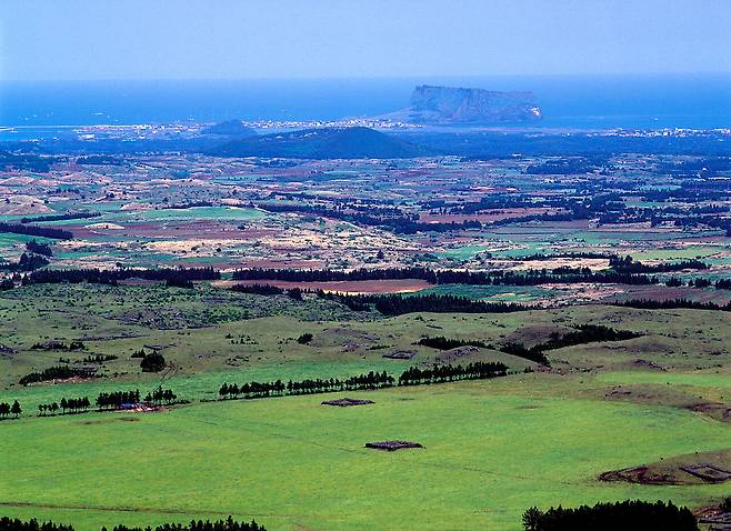 이처럼 광활하고 아름다운 터전 수백만평이 사라지게 된다. 사진=강정효