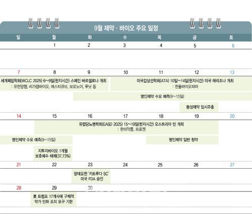 [그래픽=이데일리 이미나 기자]