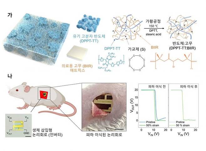 생체 삽입형 유연 전자소자용 신축성 반도체 및 논리회로 모식도. 오진영 경희대 교수 제공