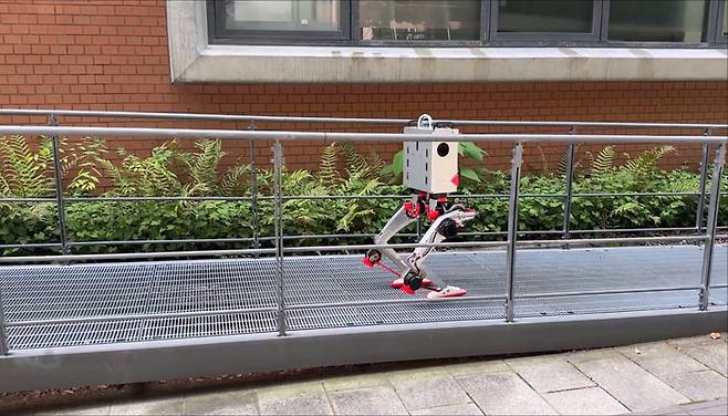 출처=유튜브(kkawaharazuka)