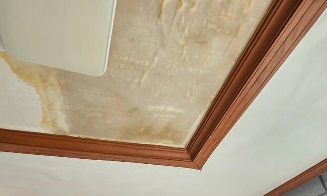 사진은 기사와 관련이 없음. 이해를 돞기 위한 사진. /사진=뉴스1