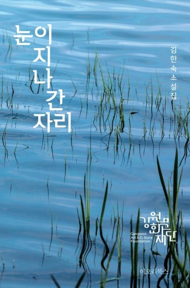 ▲ 김한숙 소설집 ‘눈이 지나간 자리’.