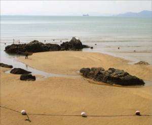 부산 바다를 전시장으로 활용한 미술 전시. /부산비엔날레조직위원회 제공