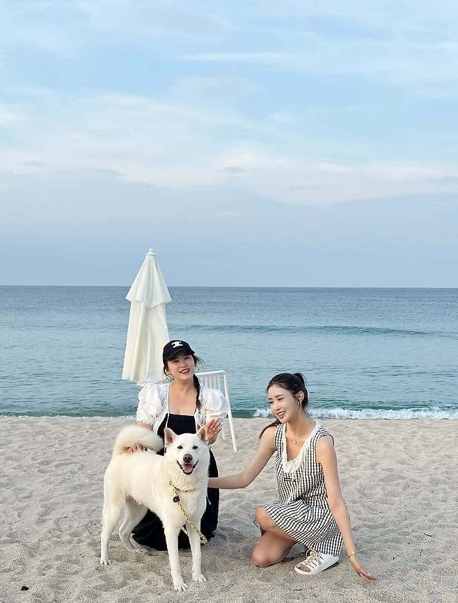 심진화 소셜네트워크서비스 계정