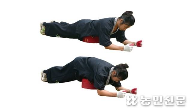 코어 힘을 키우는 플랭크도 작업방석이 있으면 수월하다.