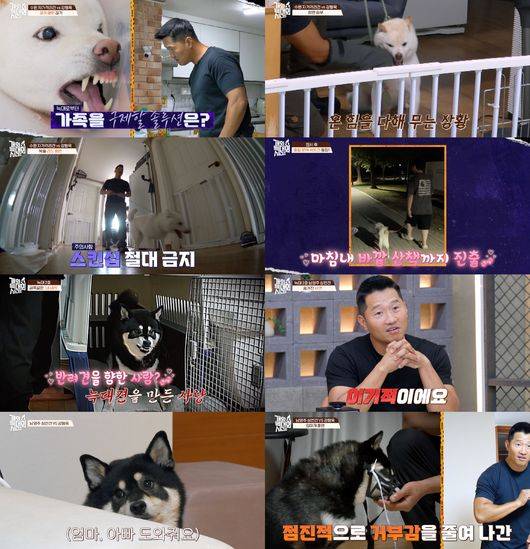 방송 화면 캡처