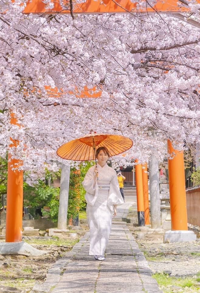 일본 교토 Kyoto, Japan&nbsp;