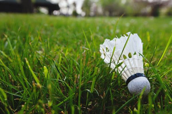 사진 게티이미지뱅크