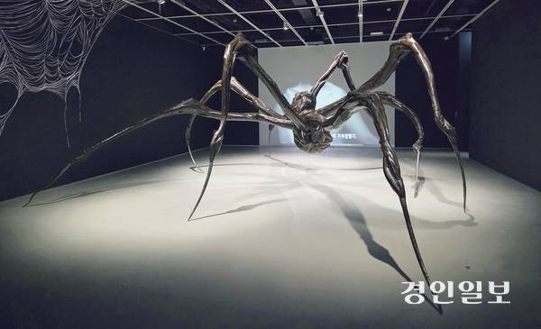 호암미술관 ‘루이즈 부르주아: 덧없고 영원한’ 전시에서 만날 수 있는 ‘웅크린 거미’. 2025.8.27 /이시은기자 see@kyeongin.com
