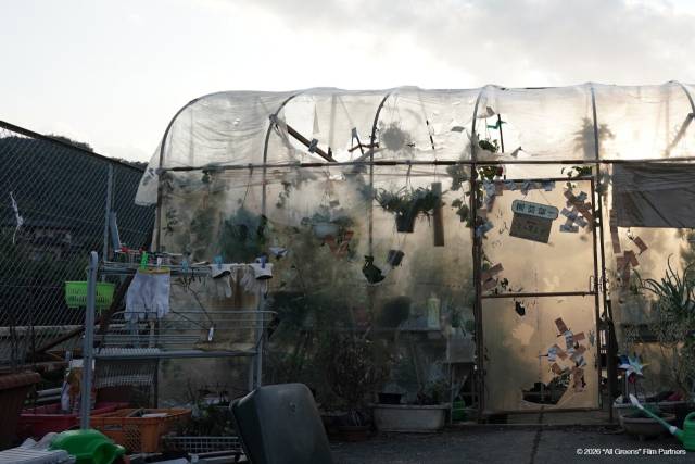 위에서부터 영화 ‘콕콕콕, 코코콕’ ‘모모의 모양’ ‘올 그린스’ 스틸컷.