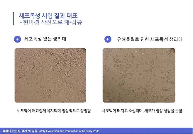 제공 = 성균관대 박천권 교수 연구팀