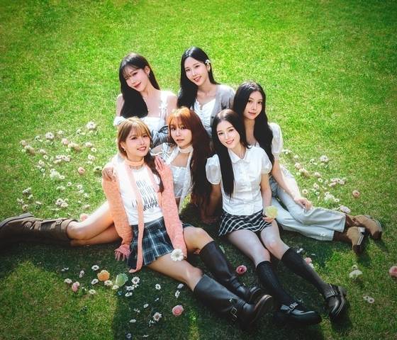 모모랜드/인연엔터테인먼트 제공