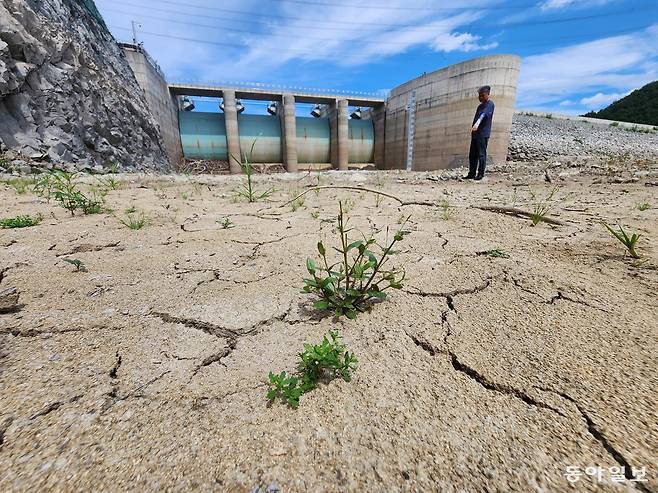 강릉시 주 수원인 오봉저수지 수문 아래 바닥이 드러나 거북등처럼 갈라져 있다. 동아일보DB