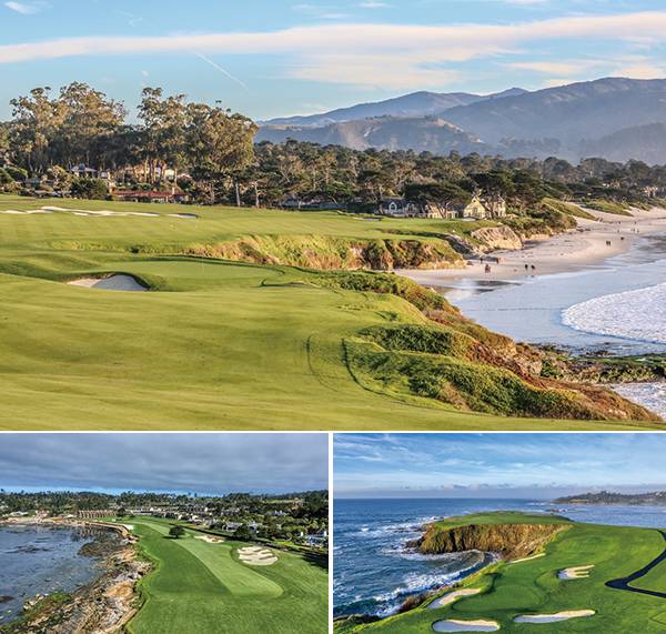 설계·디자인 Jack Neville, Douglas Grant 
개장 연도 1919 홀(HOLE) 18 파(PAR) 72 
경사 145 야드(YARD) 6828 그린피 675달러