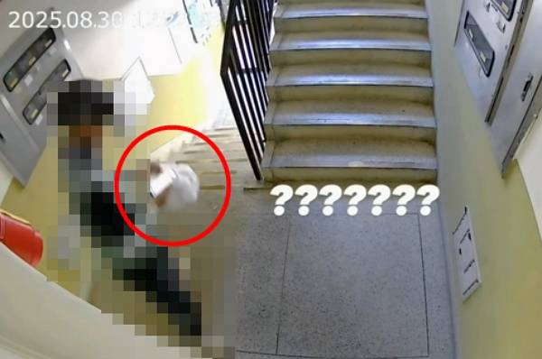 배달 기사가 음식 배달을 완료한 인증샷을 찍은 후 음식을 훔쳤다. 사진은 음식을 다시 가져가는 배달 기사의 모습. /사진=보배드림 캡처