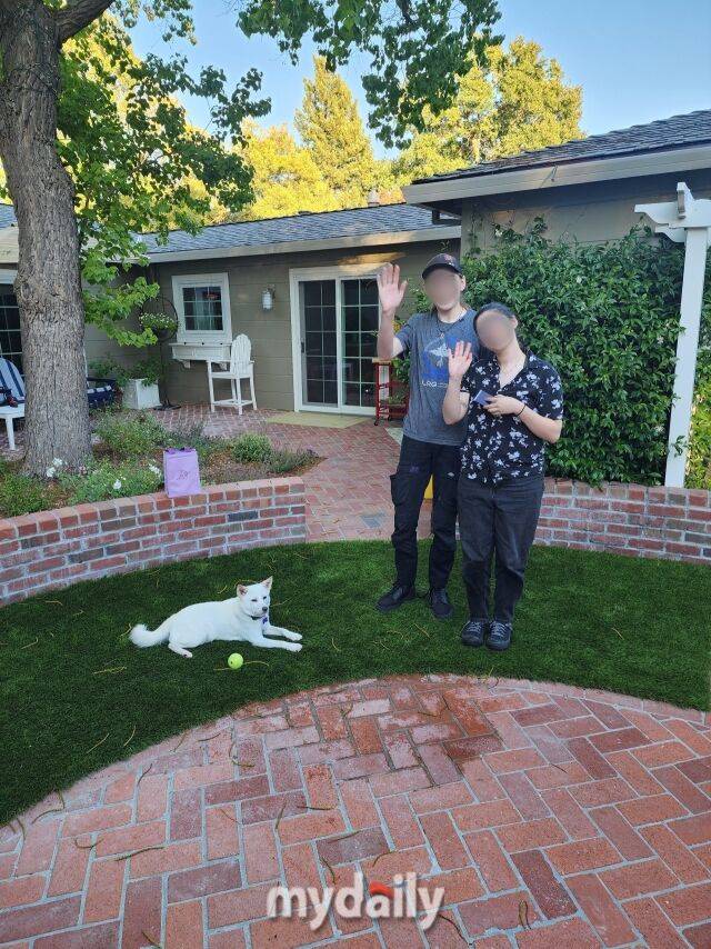 궤도의 후원으로 구조·입양된 유기견들의 모습