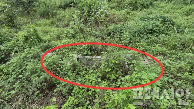 ▲풀에 덮인 방마마을 수로. 생활하수가 정화 과정을 거치지 않은 채 이곳으로 흘러들고, 결국 마을 앞 하천으로 방류되면서 악취가 진동한다. ⓒ프레시안