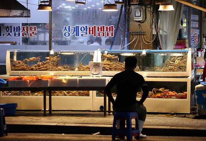 '손님 기다리는 상인' (포항=연합뉴스) 김현태 기자 = 경북 포항시 죽도시장에서 상인이 손님을 기다리고 있다. 2025.9.4
mtkht@yna.co.kr
(끝)