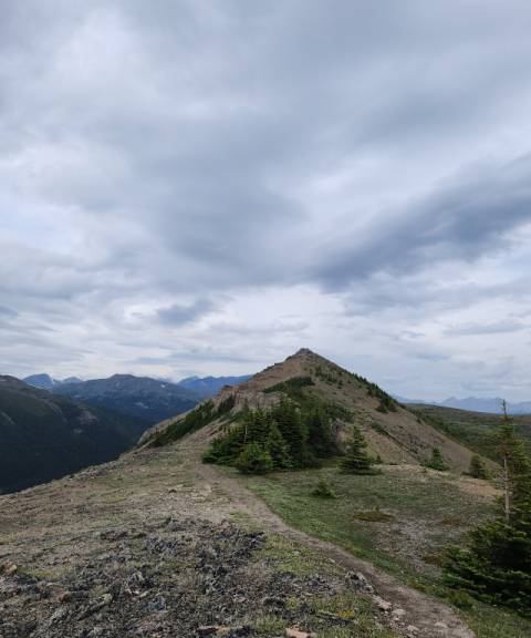 볼드힐 트레일의 트레이드마크 황무지 언덕. 하태길 겸임교수 제공