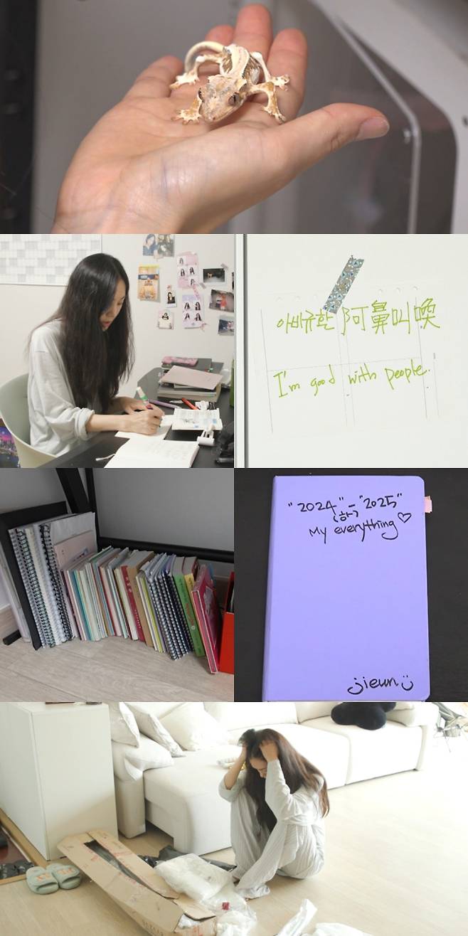 전지적 참견 시점, 한지은 갓생 (사진: MBC '전참시')