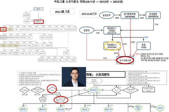 하림그룹은 2011년 1월 지주회사(제일홀딩스) 체제로 전환하고, 2012년 1월 김홍국 회장이 한국썸벧판매 지분 100%를 장남 김준영에게 상속하면서 계열회사 정비를 시작했다. 2017년 제일홀딩스가 하림홀딩스를 흡수합병하고, 합병 제일홀딩스(현 하림지주)는 중간 지주사였던 NS쇼핑을 자회사로 편입하면서 현 체제로 전환했다. 하림지주는 하림홀딩스 합병과 NS쇼핑 주식교환과정에서 배정받은 신주를 교환사채를 통해 처분하기로 했다.