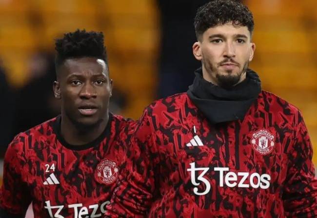 사진 = 트리뷰나