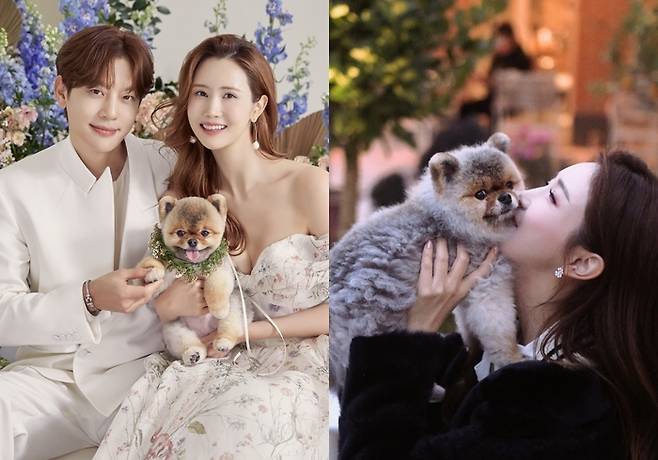 세븐, 이다해와 반려견 그레이튼. 사진|이다해 SNS