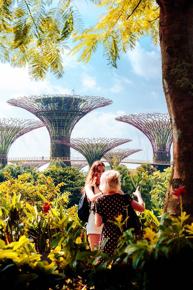 1 MBS 연결 통로에서 바라 본 가든스바이 더 베이의 풍경